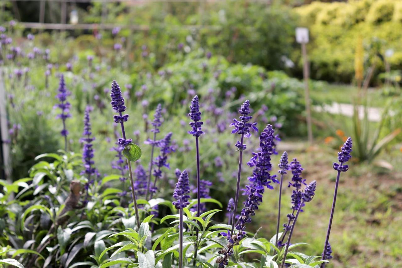 홍콩 골드 코스트 호텔 외부 사진 Lavender